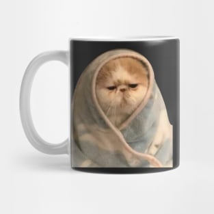 cat in a bad mood with blanket. Mug